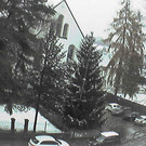 dornbirn-kloster.jpg