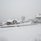 schnee _24__JPG-1354203538