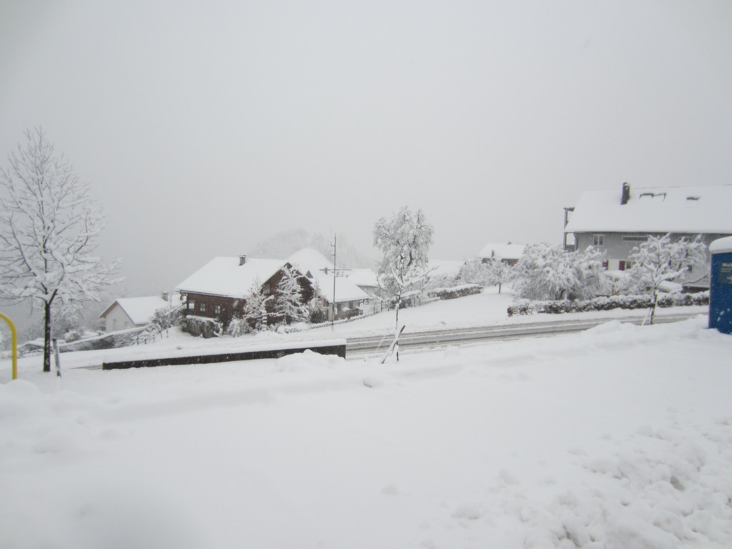 schnee _24__JPG-1354203538