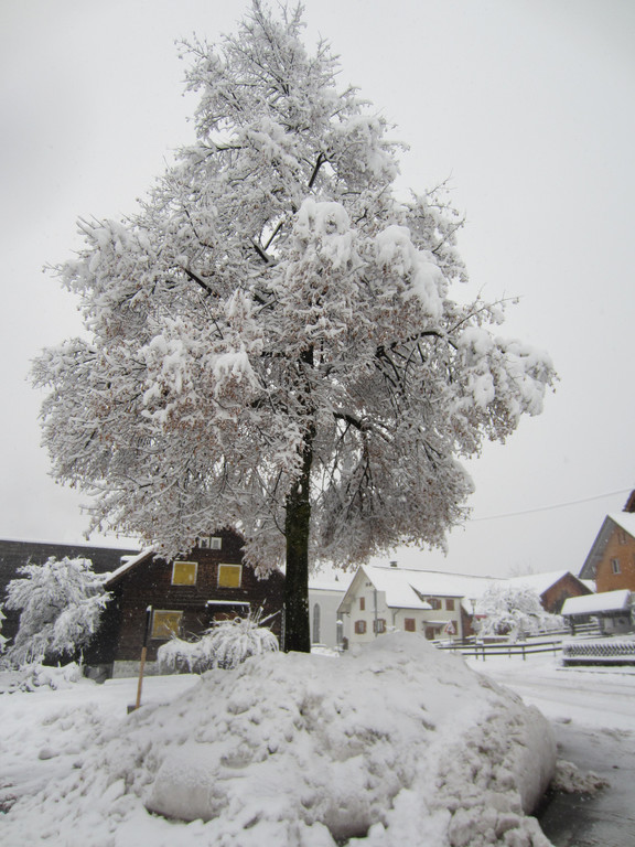 schnee _30__JPG-1354203715