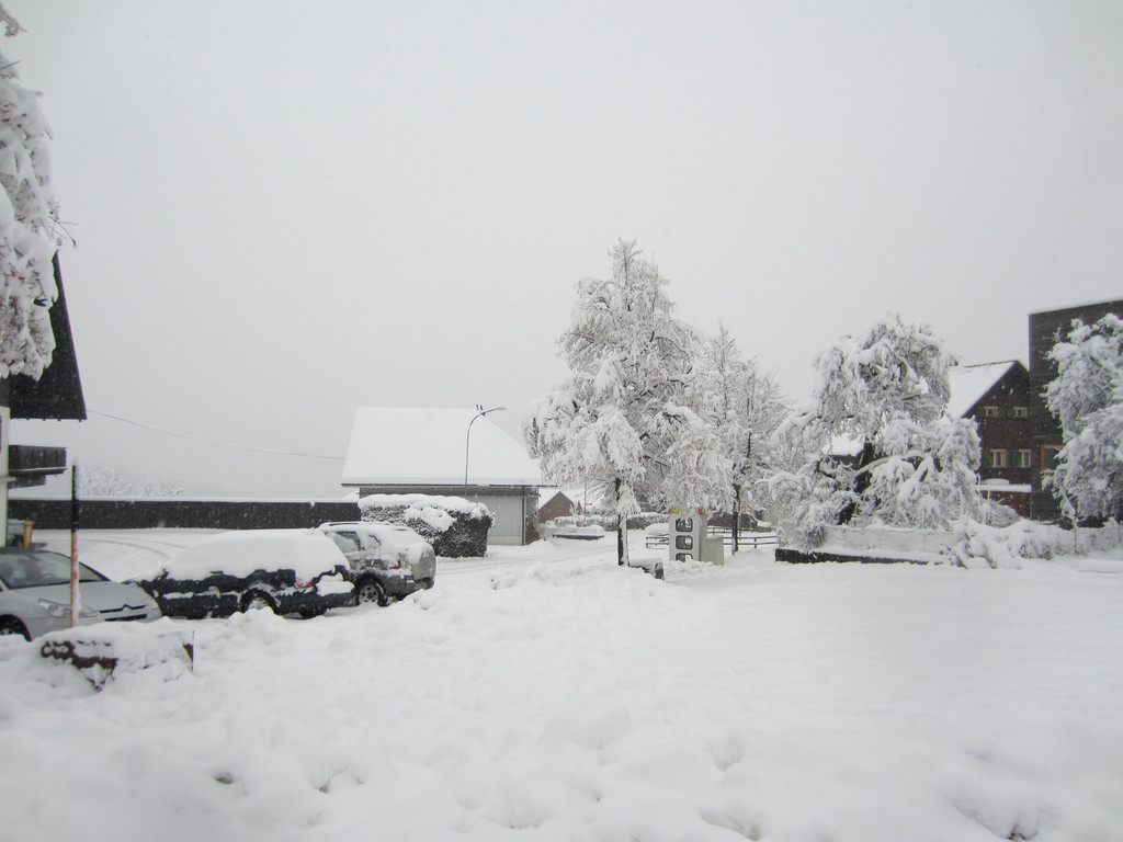 schnee _32__JPG-1354203764