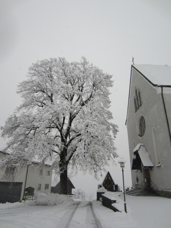 schnee _38__JPG-1354203933