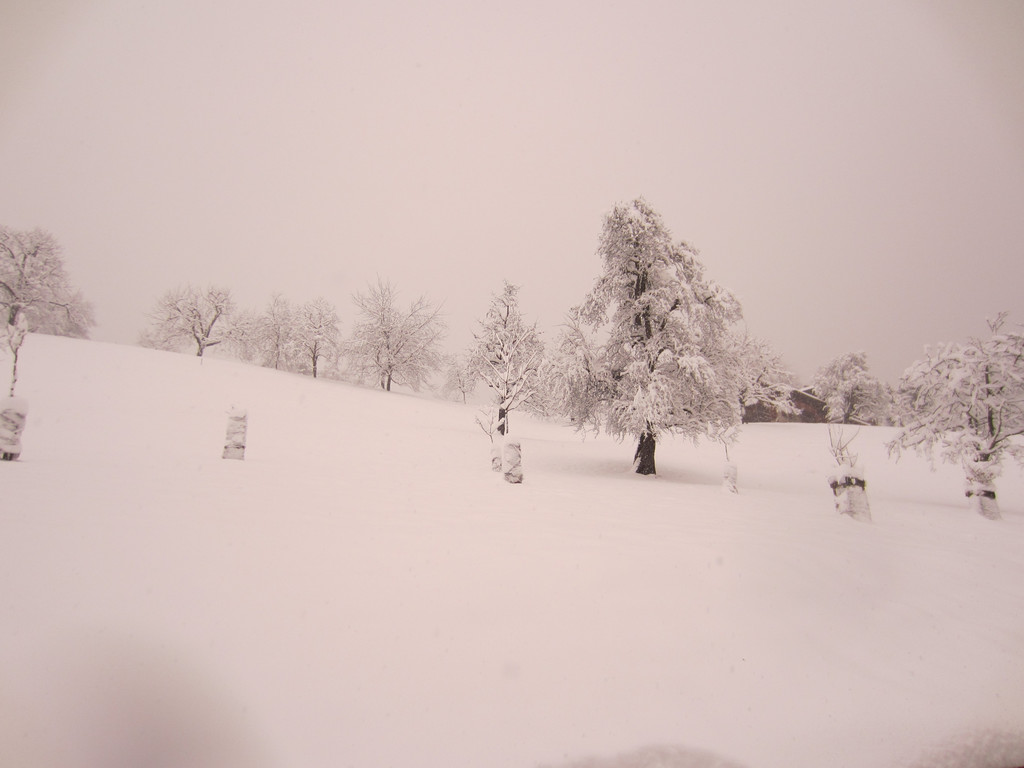 schnee _43__JPG-1354204078