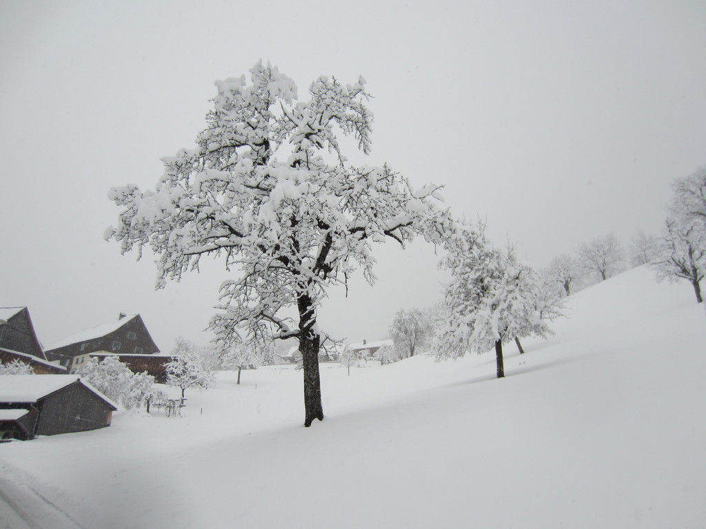 schnee _44__JPG-1354204103