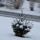 Schneebilder