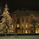 IMG_4555.JPG