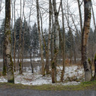 _c_ Gerhard Scopoli - Schnee Schruns - 060.jpg