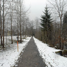 _c_ Gerhard Scopoli - Schnee Schruns - 083_bearbeitet-.jpg