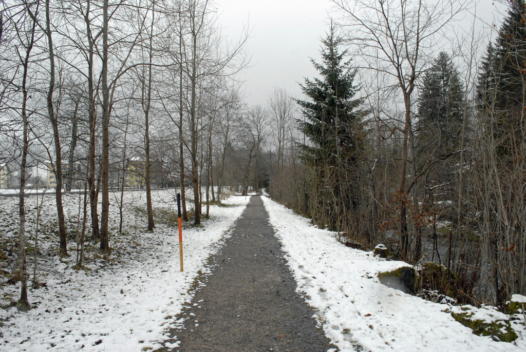 _c_ Gerhard Scopoli - Schnee Schruns - 083_bearbeitet-.jpg