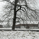 _c_ Gerhard Scopoli - Schnee Schruns - 088.jpg