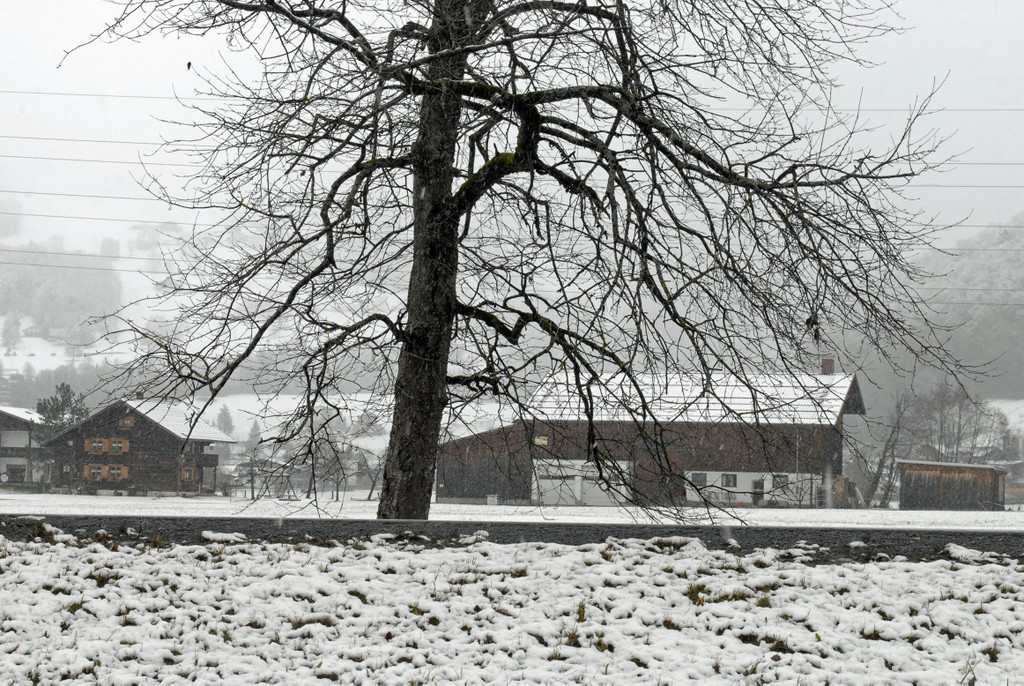 _c_ Gerhard Scopoli - Schnee Schruns - 088.jpg