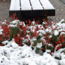 _c_ Gerhard Scopoli - Schnee Schruns - 122.jpg