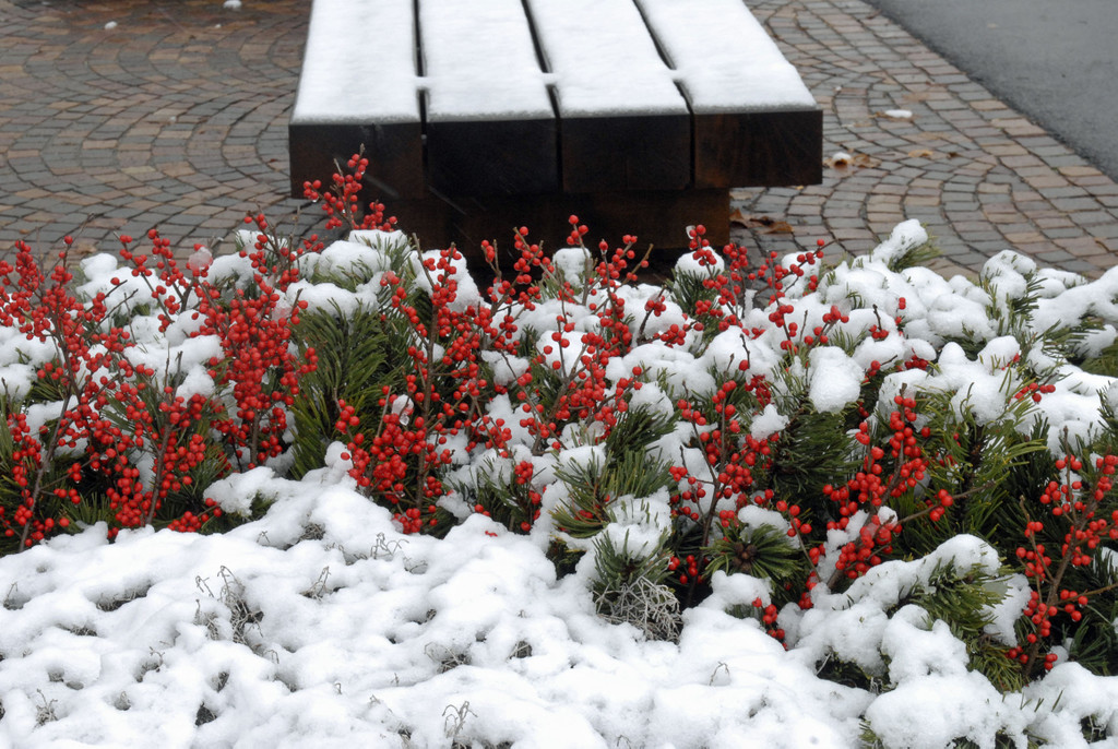 _c_ Gerhard Scopoli - Schnee Schruns - 122.jpg