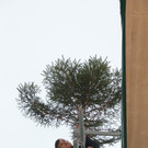 IMG_3959_JPG-1354253390