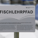 Fischlehrpfad entlang des Auhafens