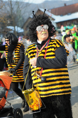 IMG_6772_Gr____enver__nderung.JPG