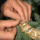 grilla_jpg 093_jpg-1354258094