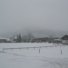 k-IMG_2336_JPG-1354265927