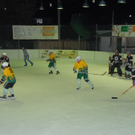 Hockey030.JPG