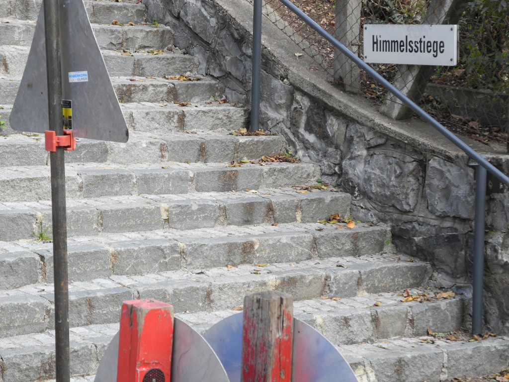 DSCN8117_JPG-1354283209