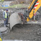 DSCN8110_JPG-1354283114