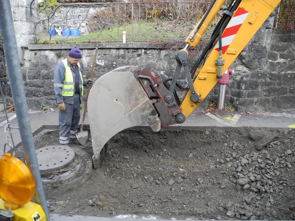 DSCN8110_JPG-1354283114