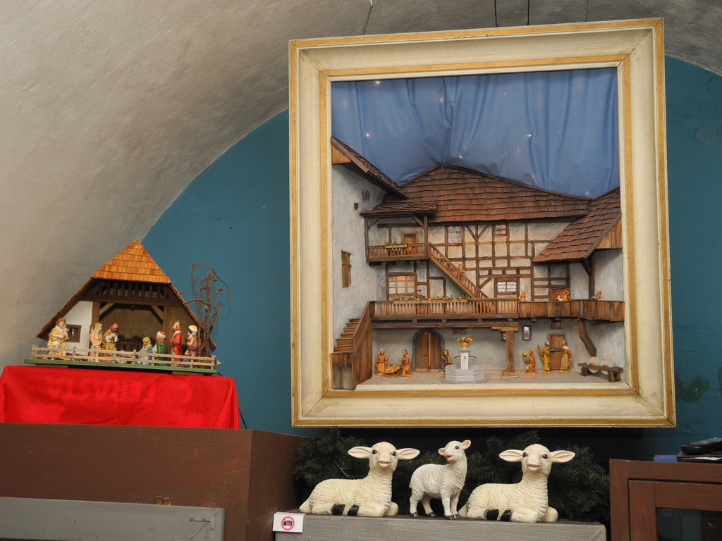 DSCN8266_JPG-1354297515