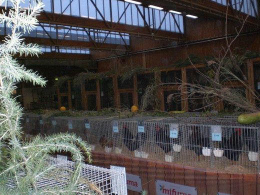 CIMG9021_jpg-1354304997