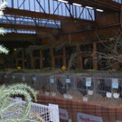 Kleintier Landesschau