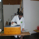 CIMG9026_jpg-1354304997