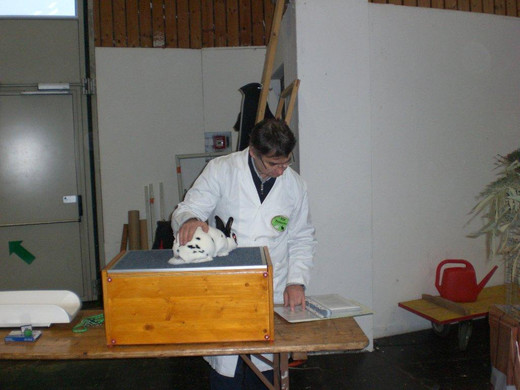 CIMG9026_jpg-1354304997