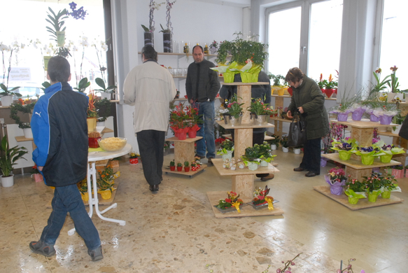 BlumenFrick68.jpg