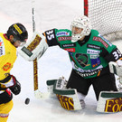 EXPA-THA-121130-0742.jpg
