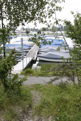 _MG_6557.jpg