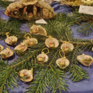 30112012adventgmundenat_02_001aktivnews__47_.JPG