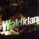 30112012waldklangat5009aktivnews_8.jpg