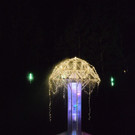 30112012waldklangat5009aktivnews_16.jpg