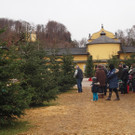 30112012adventde01007aktivnews_17.jpg