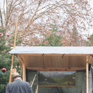 30112012adventde01007aktivnews_18.jpg