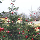 30112012adventde01007aktivnews_22.jpg