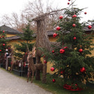30112012adventde01007aktivnews_11.jpg