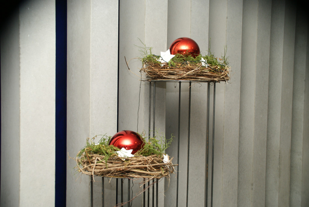 DSC06267.JPG