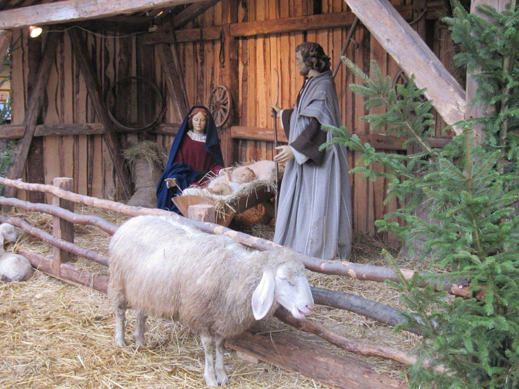 Krippe1_jpg-1354387251