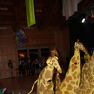 IMG_7381.JPG