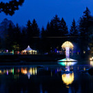 d01lXII050.jpg