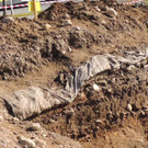 DSCN5473_JPG-1354441547