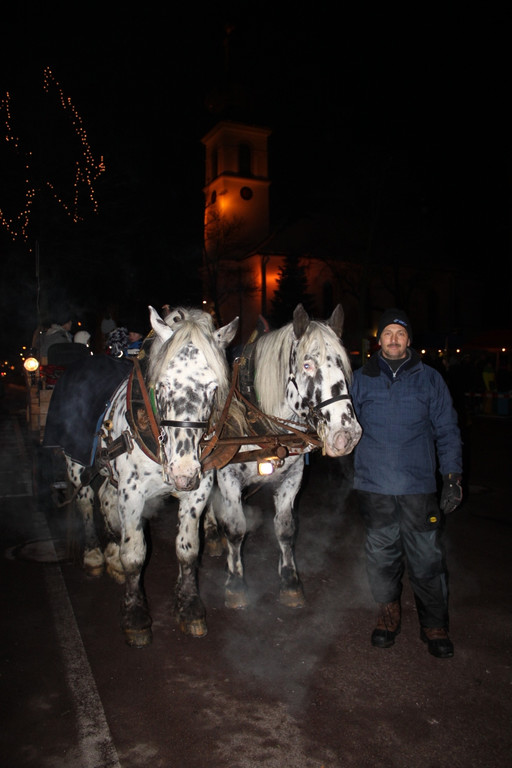 Adventmarkt Roter Platz 2012 _5__jpg-1354441226
