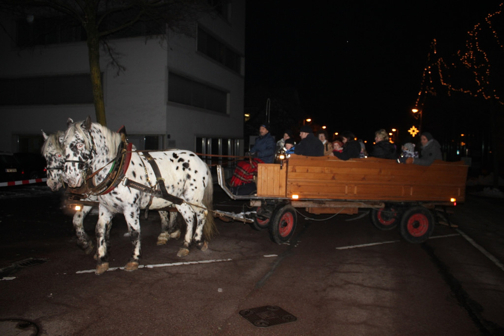 Adventmarkt Roter Platz 2012 _7__jpg-1354441234