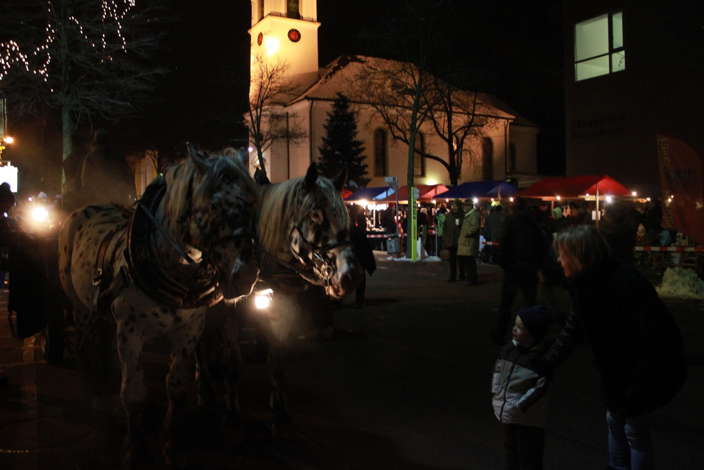 Adventmarkt Roter Platz 2012 _13__jpg-1354441259