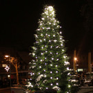 Adventmarkt Roter Platz 2012 _23__jpg-1354441305